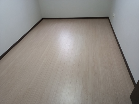 대구집정리M